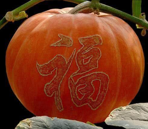 吃瓜增寿,揭秘“吃瓜增寿”的神奇魔力