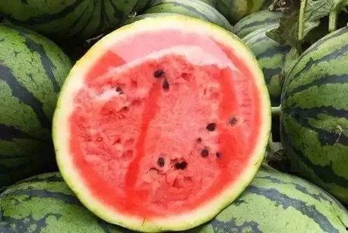 炎柱吃瓜,揭秘娱乐圈背后的秘密与真相