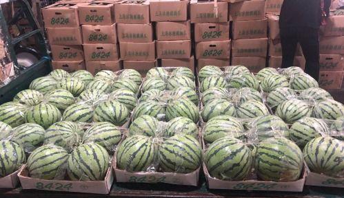 厦门上午吃瓜,瓜香四溢的悠闲时光