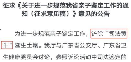 亲子鉴定科吃瓜事件,一场吃瓜群众的全民揭秘