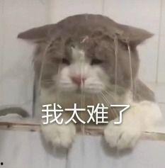 吃瓜找谁内娱,吃瓜群众如何精准锁定热门话题