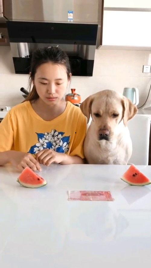 最近吃瓜火的视频
